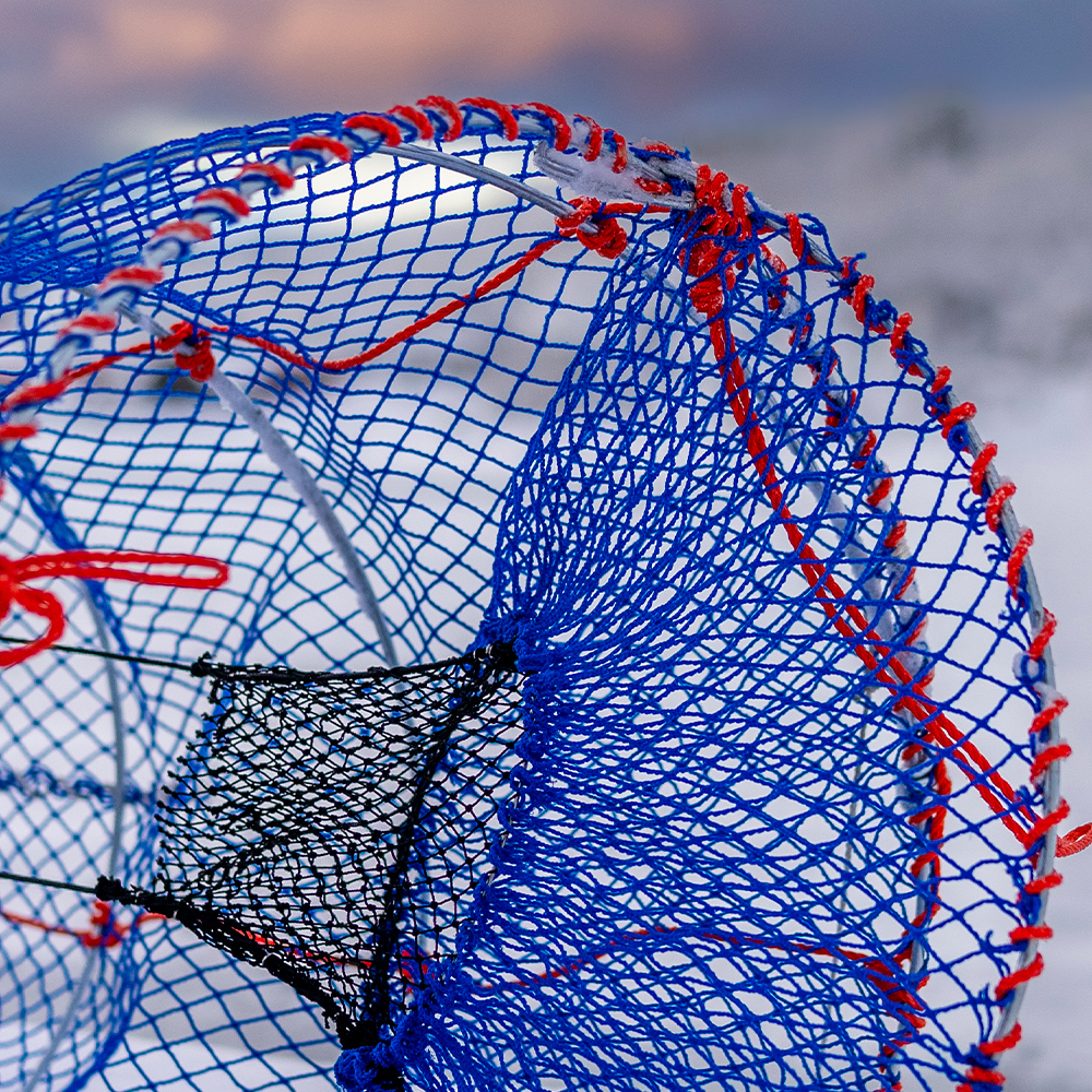 6 cm inngang på fisketeine som hindrer fisken i å rømme.