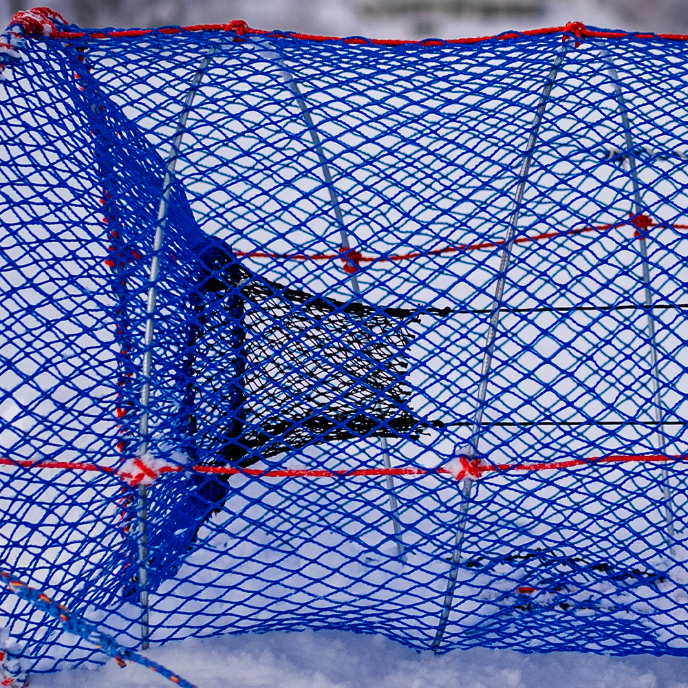 Bilde av en solid fisketeine laget av galvanisert 8 mm fjærstål. Den robuste konstruksjonen gir høy styrke og lang levetid selv under krevende forhold på sjøen.